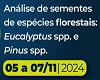 Anlise de sementes de espcies florestais: eucaliptus spp e pinus spp