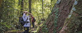 Servio Florestal oferece 16 cursos gratuitos at o fim de 2024