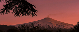 Árvores “avisam” quando um vulcão vai entrar em erupção