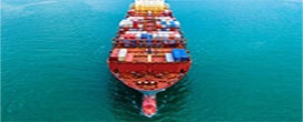 Exportações brasileiras de produtos madeireiros (exceto celulose e papel) aumentaram 18 por valor em valor em relação a março de 2024