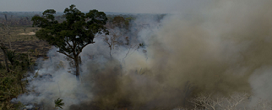 Fogo acaba com 71 por cento da biomassa da floresta amaznica em apenas duas passagens