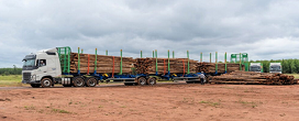 Suzano inova no setor de logstica florestal com primeiro mdulo prprio de operao de tritrens em Trs Lagoas (MS)