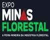 Expo Minas Florestal